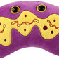 Giant Microbes Plush - Mitochondria close up