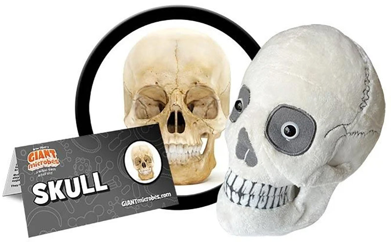 GIANTmicrobes Plush - Skull (Regular) packaged