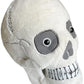 GIANTmicrobes Plush - Skull (Regular) angled