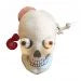 GIANTmicrobes Plush - Deluxe Skull with Minis (Brain, ear, brain cell & eyes) front