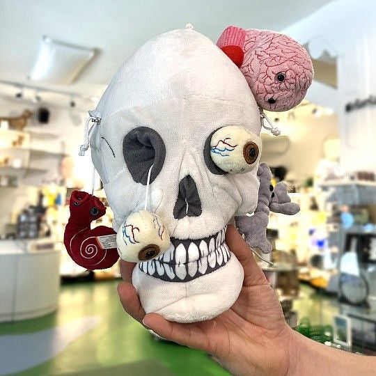 GIANTmicrobes Plush - Deluxe Skull with Minis (Brain, ear, brain cell & eyes) in store