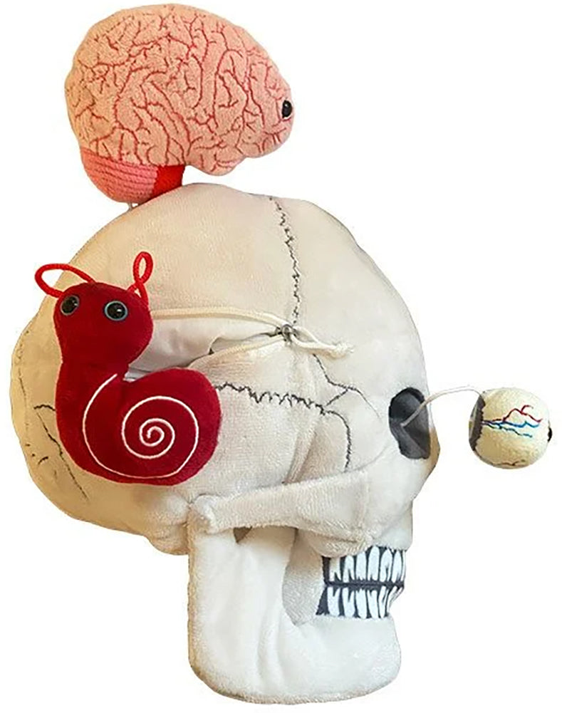 GIANTmicrobes Plush - Deluxe Skull with Minis (Brain, ear, brain cell & eyes) side