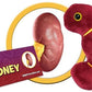 Giant Microbes Plush - Kideny
