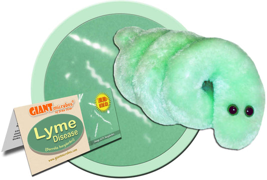 Lyme Disease (Borrelia Burgdorferi)