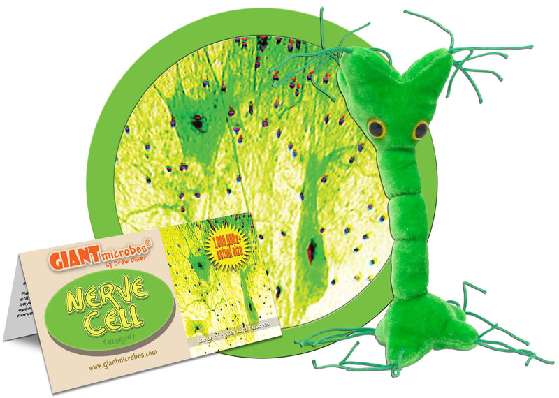 Giant Microbes Plush - Nerve Cell (Neuron)