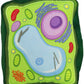 Giant Microbes Plush - Plant Cell Top