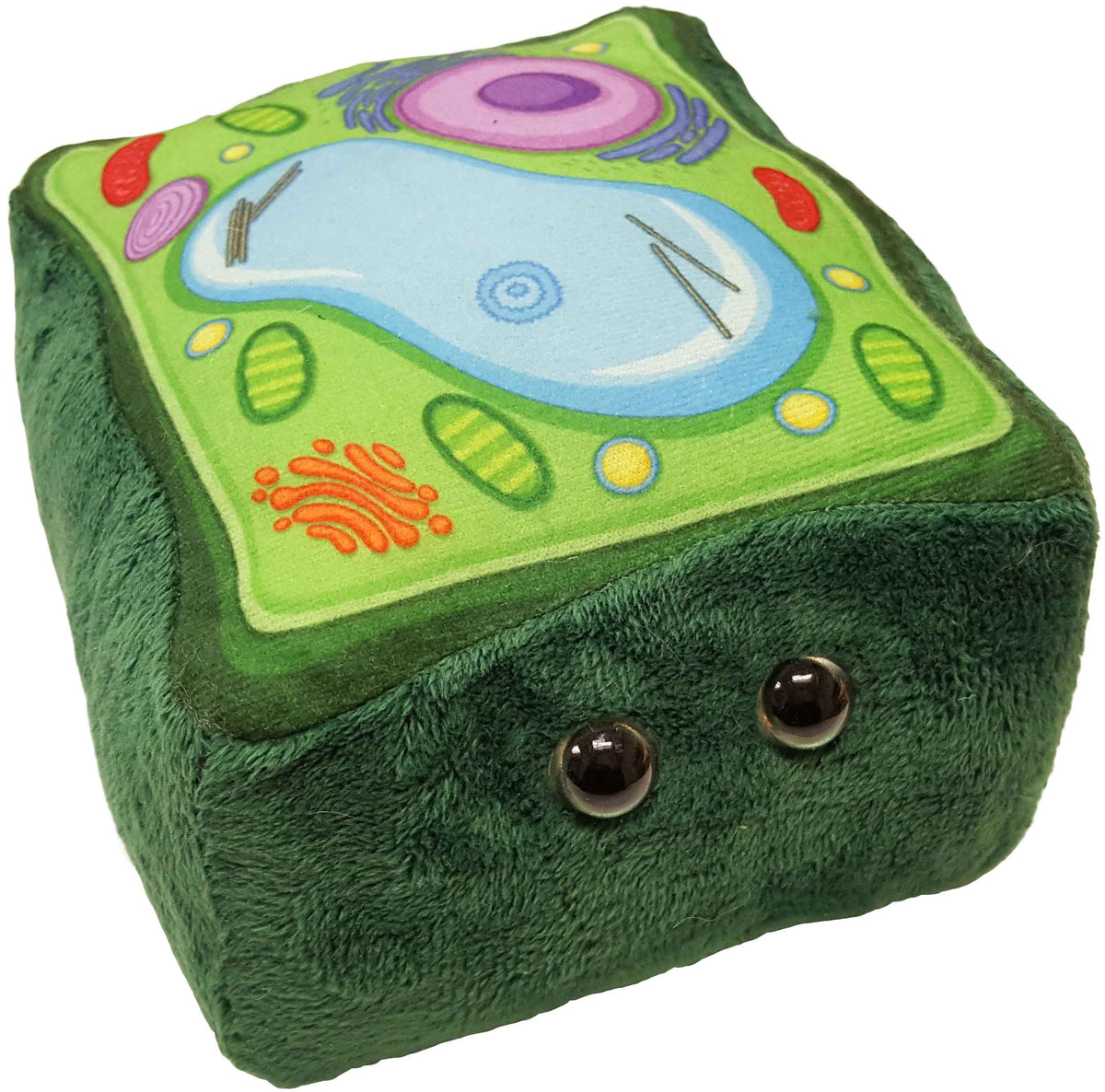 Giant Microbes Plush - Plant Cell – Knick Knack Toy Shack
