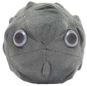 Giant Microbes Plush - Polio - Poliovirus front