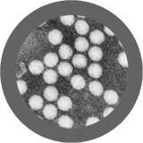 Giant Microbes Plush - Polio - Poliovirus the real thing