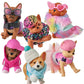 Real Littles Puppy In My Bag (Complete set of 6)
