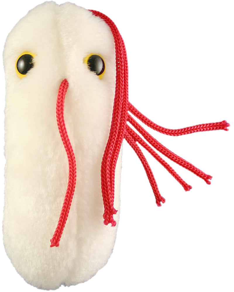 Giant Microbes Plush - Salmonella (Salmonella Typhimurium) open