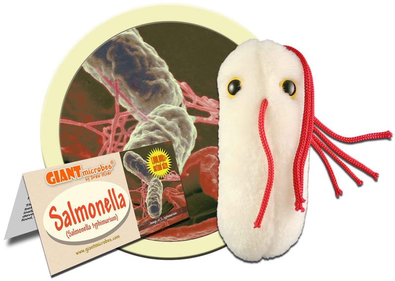 Giant Microbes Plush - Salmonella (Salmonella Typhimurium)
