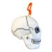 GIANTmicrobes Plush - Skull Key Chain Side