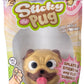 Sticky the Pug!
