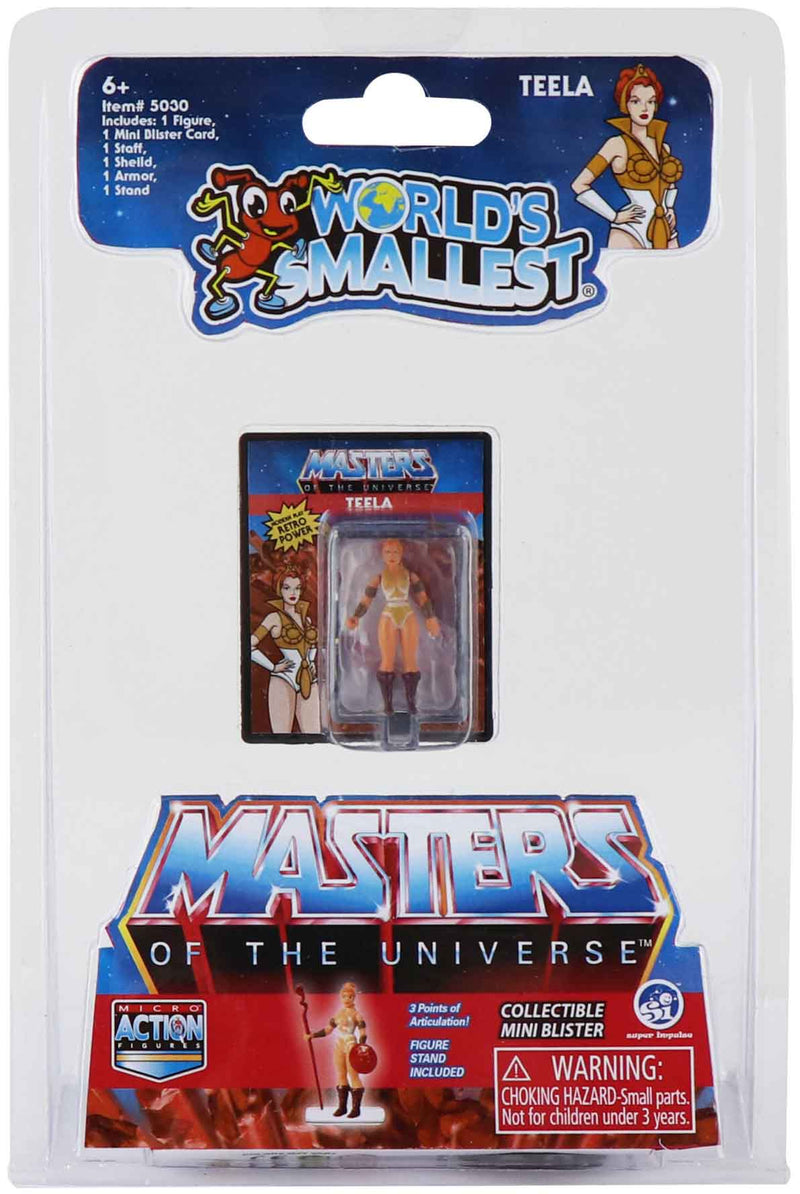 World's Smallest Masters of the Universe Teela in package