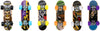 World's Smallest Tech Deck™ (Random Assortment) all of them