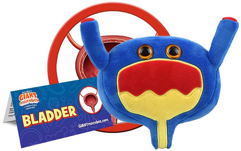 Giant Microbes Plush - Bladder – Knick Knack Toy Shack