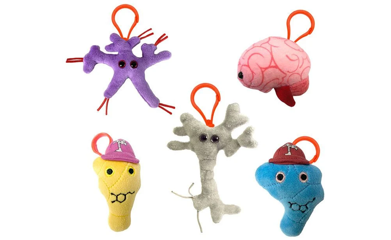 Giant Microbes Plush - Brain science look inside
