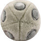 Giant Microbes Plush - HPV (Human Papillomavirus)