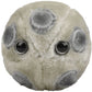 Giant Microbes Plush - HPV (Human Papillomavirus) looking at you