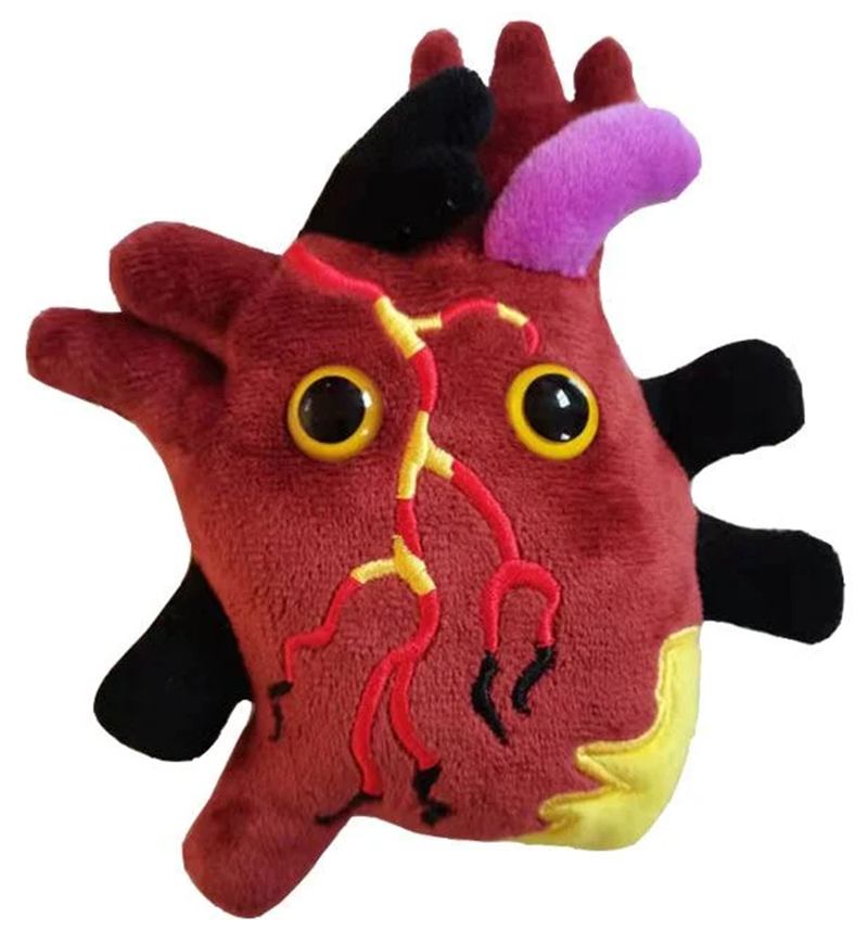 Giant Microbes Plush - Heart Disease  Heart disease is by far the leading cause of death in much of the world. Over 500 million suffer from cardiovascular disease, which includes heart attacks, stroke and other types of heart disease.