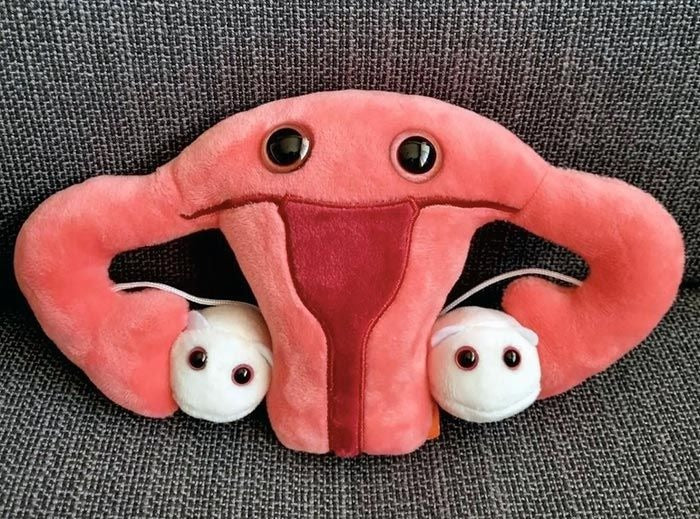 Giant Microbes Plush - Uterus on the couch