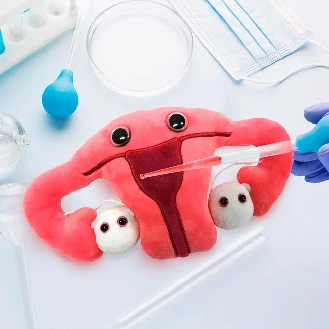 Giant Microbes Plush - Uterus on the table