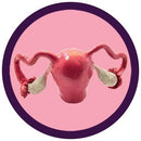 Giant Microbes Plush - Uterus the real thing