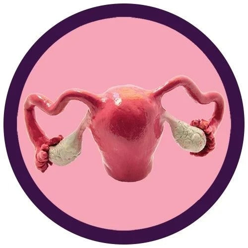 Giant Microbes Plush - Uterus the real thing